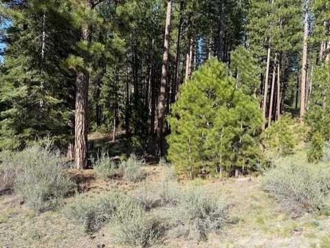 691 Redtail Loop, Clio, CA 96106