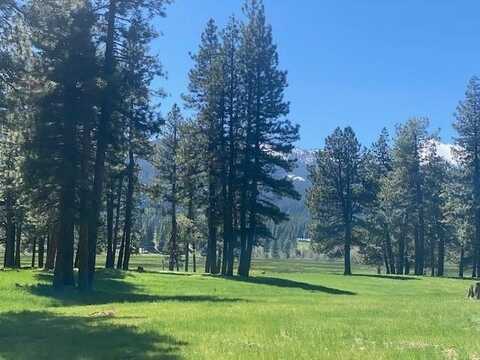 581 Redtail Loop, Clio, CA 96106