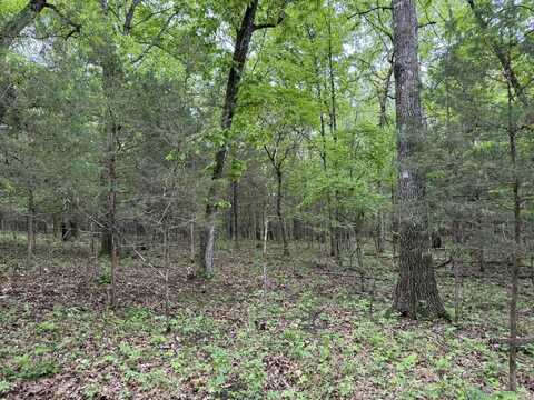 18 Ridge Road, Hardy, AR 72542