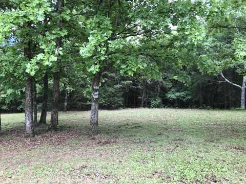 O Skyhigh Dr, Dunlap, TN 37327
