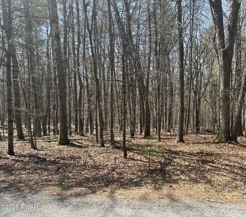 141 hawks nest dr Drive, Hawley, PA 18428