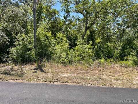 5437 W Cinnamon Ridge Drive, Lecanto, FL 34461