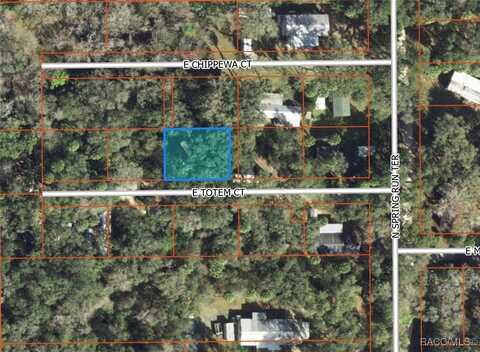 6929 E Totem Court, Hernando, FL 34442