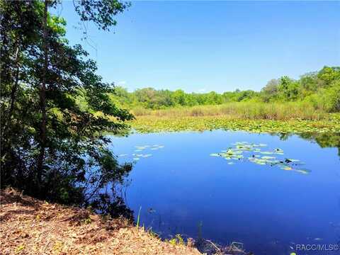 7003 E Grass Court, Inverness, FL 34453