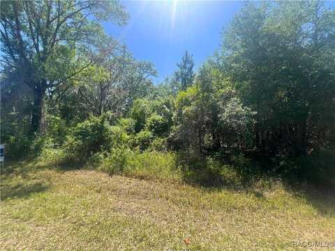 6610 N Shorewood Drive, Hernando, FL 34442