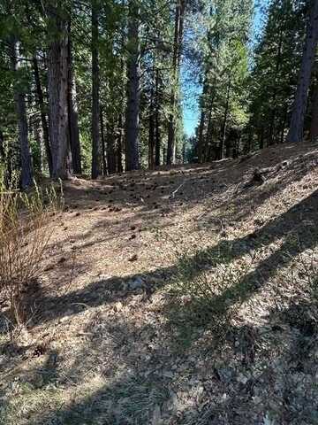 2179 Navajo, Dorrington, CA 95223