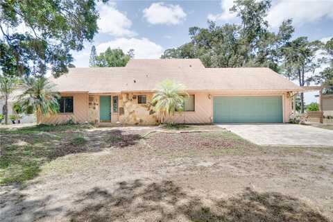 12454 S LAKE MARY JANE ROAD, ORLANDO, FL 32832