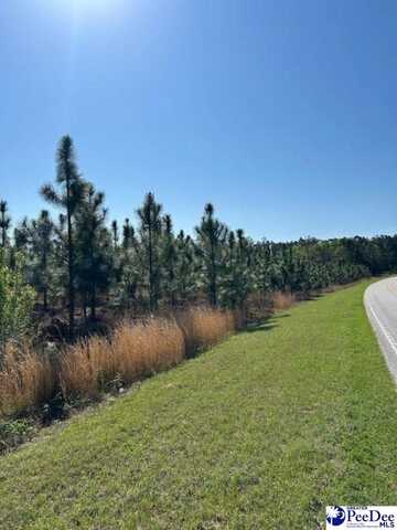 TBD Highway 109 South, Ruby, SC 29741