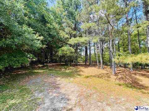 385 Elbert Baskins Rd, Cheraw, SC 29520