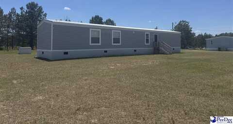 188 River Birch Rd, Bishopville, SC 29010