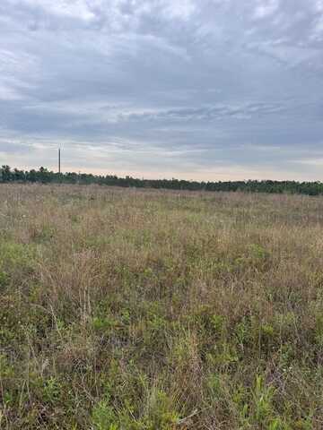 0 Mosley Rd, Uvalda, GA 30473