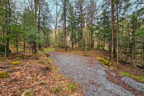 Lot 6 Gilbert Road, Inlet, NY 13360