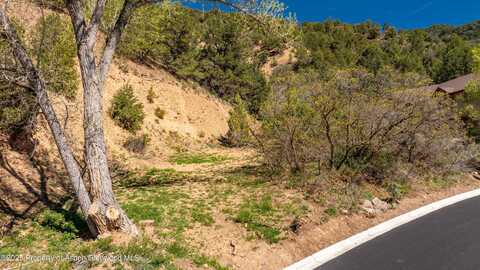 Tbd Lincolnwood Drive, Glenwood Springs, CO 81601