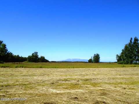 15068 S Brown Swiss Road, Wasilla, AK 99654