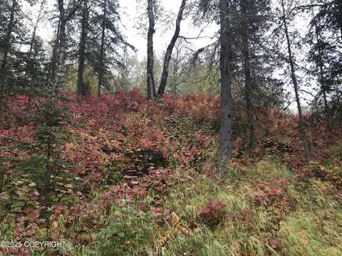 17738 E Miners Avenue, Sutton, AK 99674