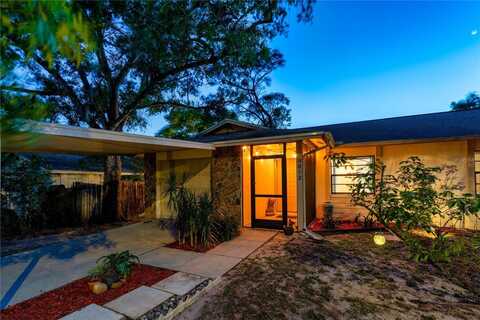 9812 N PAWNEE AVENUE, TAMPA, FL 33617