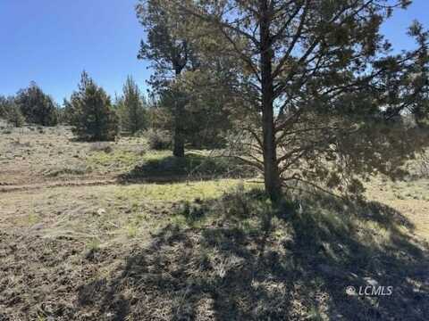 Bluebill Lane, Bonanza, OR 97623