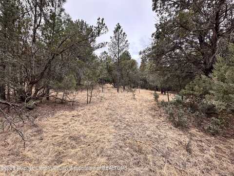 Lot 111 Antler Dr., Alto, NM 88312