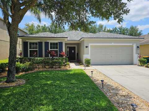 4793 GRASSY KNOLL DRIVE, TAVARES, FL 32778