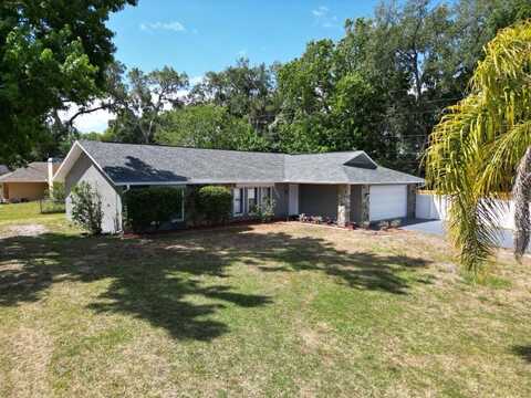 2404 NEEDLE PALM DRIVE, EDGEWATER, FL 32141