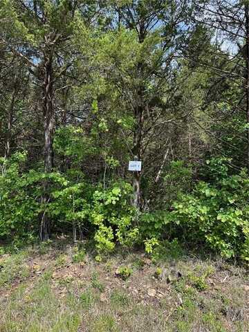 Tract 1 Hammerschmidt RD, Lead Hill, AR 72644