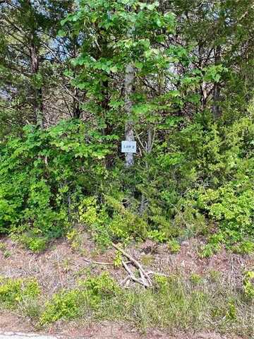 Tract 2 Hammerschmidt RD, Lead Hill, AR 72644