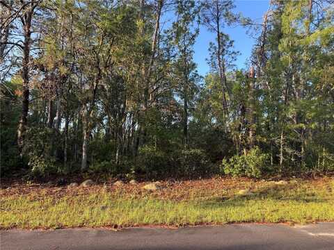 2 SW 179TH PLACE, OCALA, FL 34473