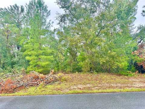 Tbd SW 46TH TERRACE, OCALA, FL 34473