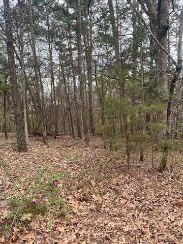 TBD Coverack LN, Bella Vista, AR 72714