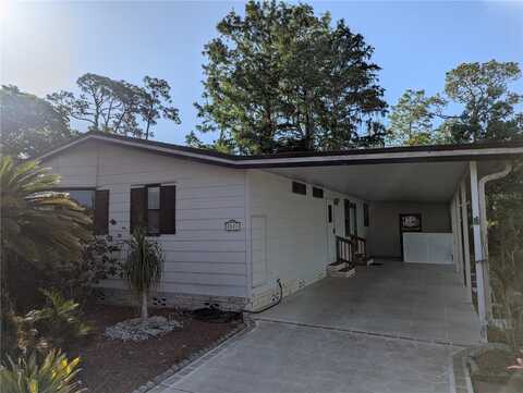 2871 MYAKKA RIVER ROAD, TAVARES, FL 32778