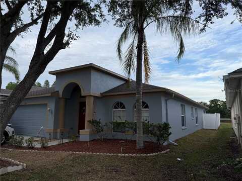3154 CLOVER BLOSSOM CIRCLE, LAND O LAKES, FL 34638