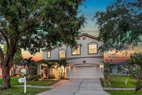 8518 TIDAL BAY LANE, TAMPA, FL 33635