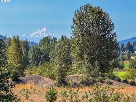 TROUT LAKE HWY, Trout Lake, WA 98650
