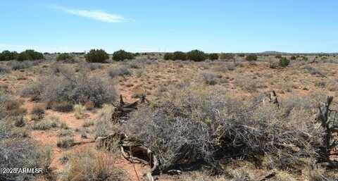 Lot 020g E 24th N Street --, Snowflake, AZ 85937