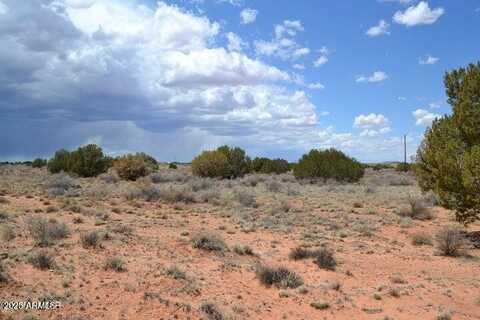 Lot 020e E 24th North Street, Snowflake, AZ 85937