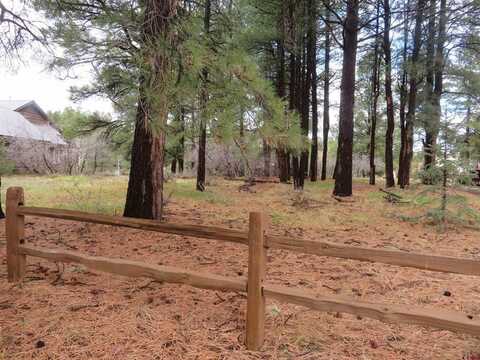 275 Beaver Circle, Pagosa Springs, CO 81147