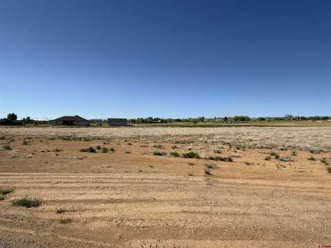 Lot 4 Nighthorse Lane, Montrose, CO 81403
