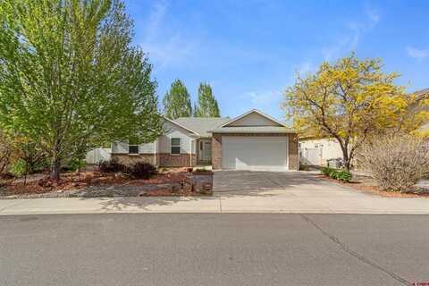2408 Glen View Drive, Montrose, CO 81401