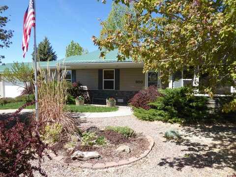800 NE 2nd Street, Cedaredge, CO 81413