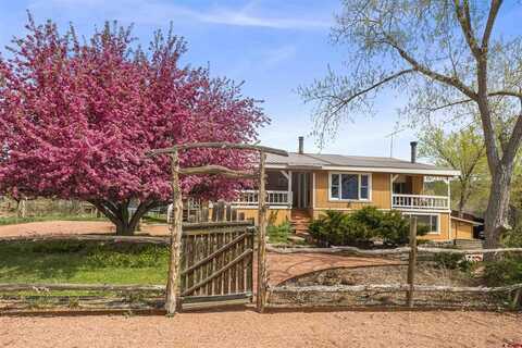 22595 and 22583 Uintah Road, Cedaredge, CO 81413