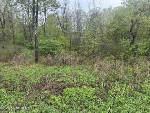 144 Factory Hollow Road, Pittstown, NY 12185