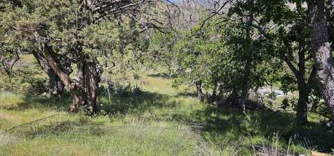 XXXX Lemming Ln, Montague, CA 96044