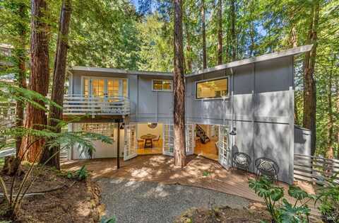 300 Marion Avenue, Mill Valley, CA 94941
