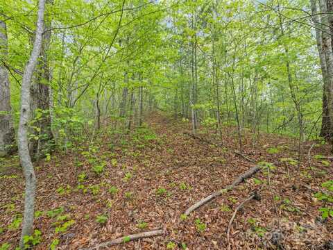 Falling Leaf Trail, Sylva, NC 28779