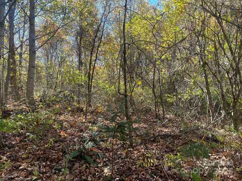 2224 Low Gap Road, Hendersonville, NC 28792