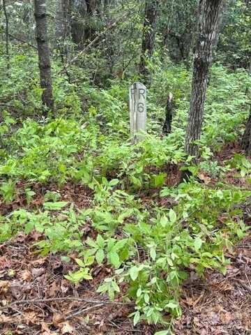 Fr 16 Opossum Path, Brevard, NC 28712