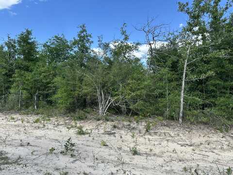 0000 NW Lakeside Avenue, Altha, FL 32421