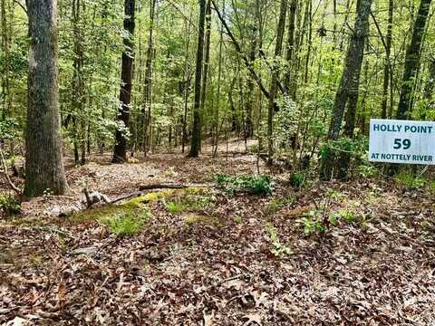 2.07 Ac Rainy Farm Road, MURPHY, NC 28906