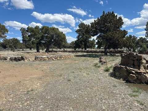 Kitty Litter Lane, Christmas Valley, OR 97641