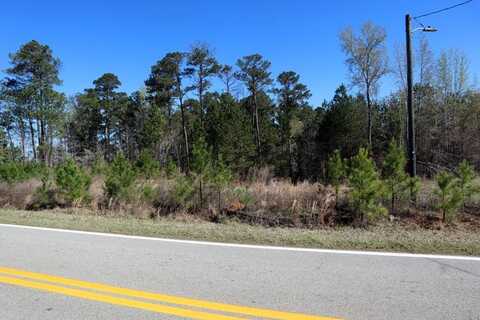 LT.19 LAKE SINCLAIR DR., Sparta, GA 31087